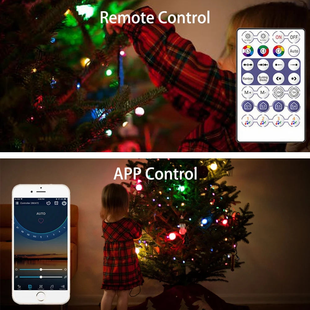 Christmas Lights with USB Music Control, Individually Adjustable LEDs, and Dream Color - DC5V"